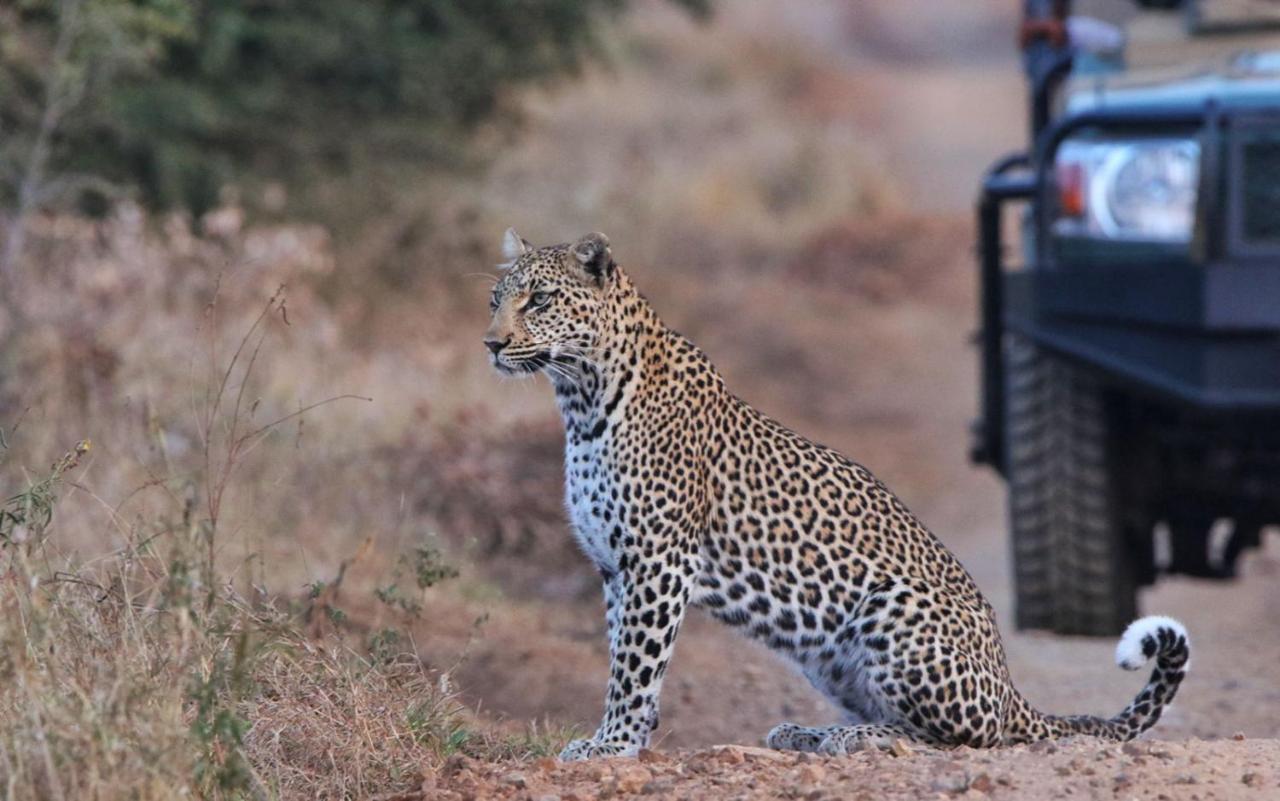 Sungulwane Private Game Lodge Hluhluwe Exteriör bild