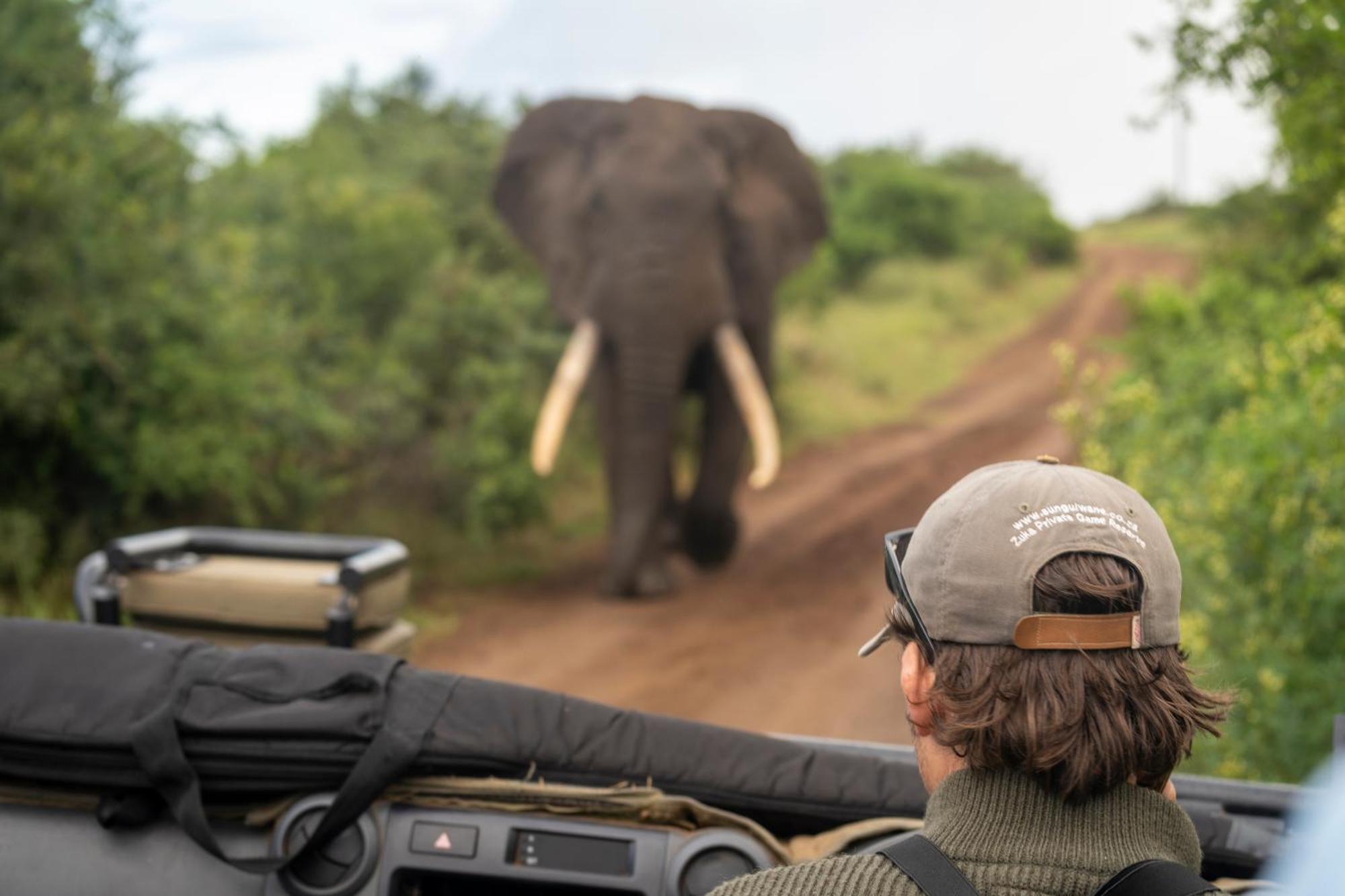 Sungulwane Private Game Lodge Hluhluwe Exteriör bild